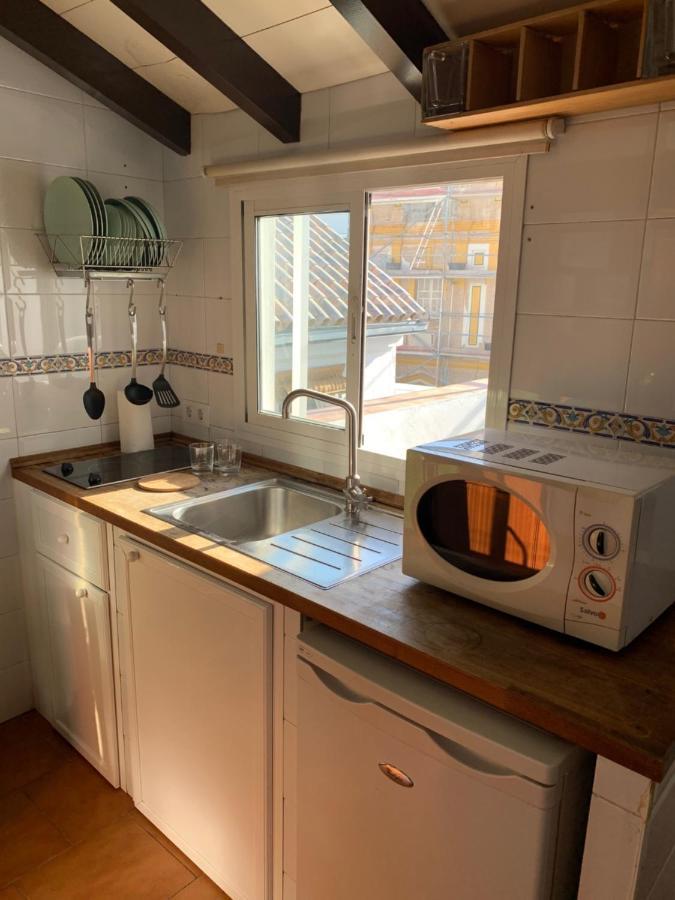 Stunning Attic With Private Terrace And Parking Optional Apartment Sevilla Bagian luar foto